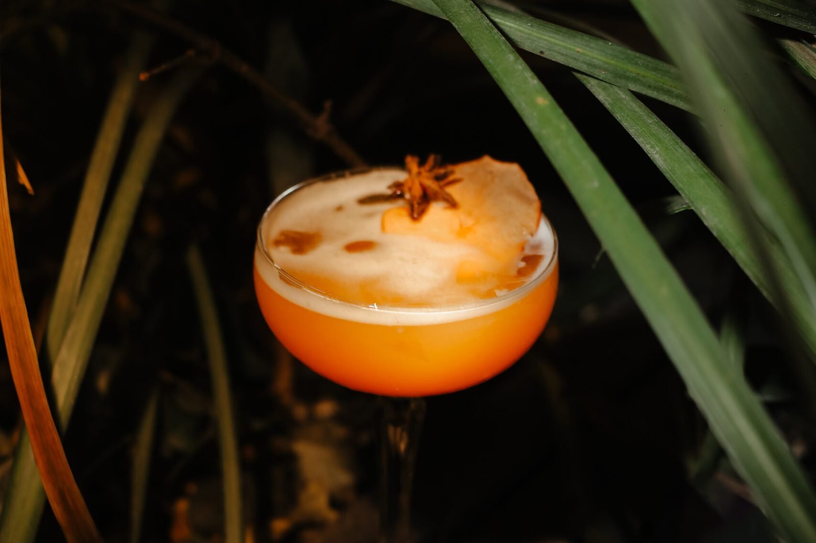 Signature cocktail at the Grand PaneVino bar